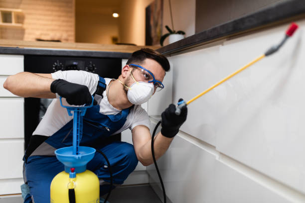 Professional Pest Control in French Lick, IN