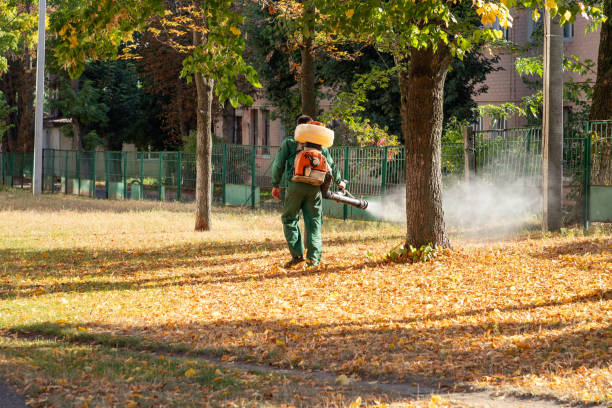 Best Pest Prevention Services  in French Lick, IN