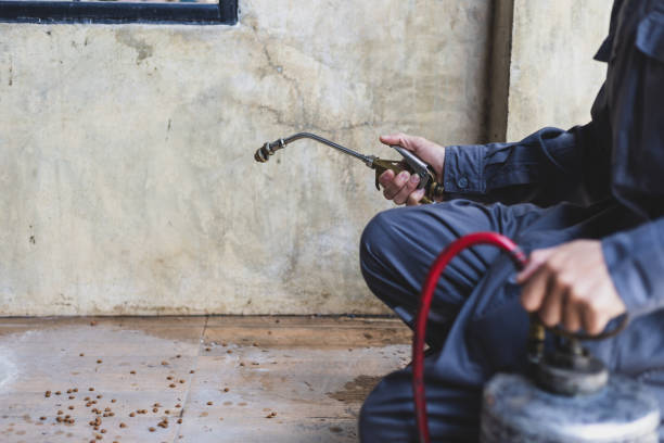 Best Best Pest Control Companies  in French Lick, IN
